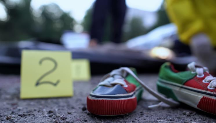 убийство убито дете - УЖАСЯВАЩА ТРАГЕДИЯ: Убийство на две деца във Вакарел!