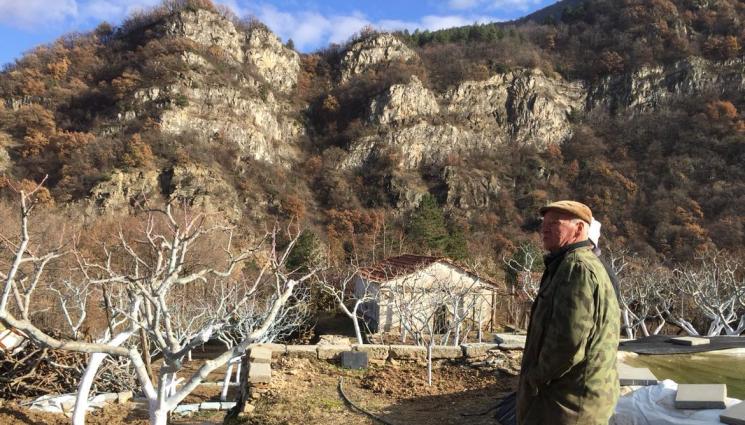 овошки - Агро Телеграф: Студ спира разпукването на овошките