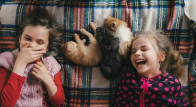 Домашна котка и дете