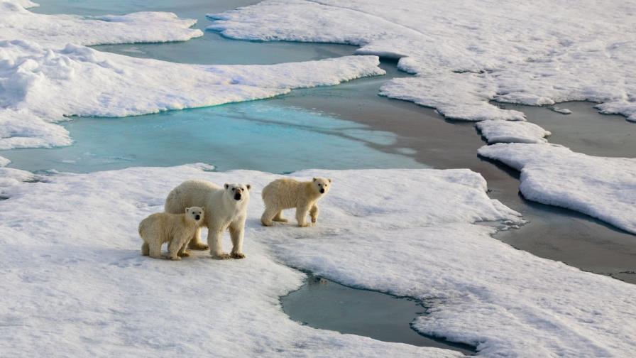 <p>Температурите в Арктика скочиха с 20&deg;C над нормата</p>