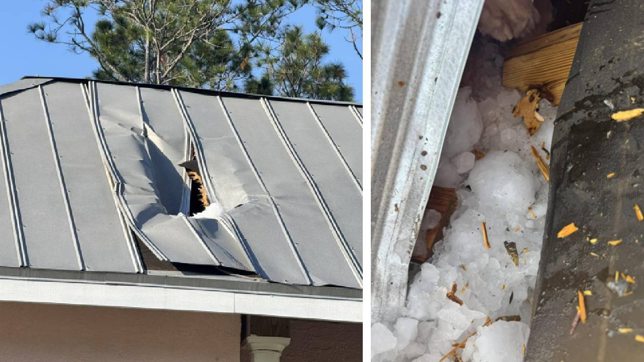 Palm Coast Fire Department