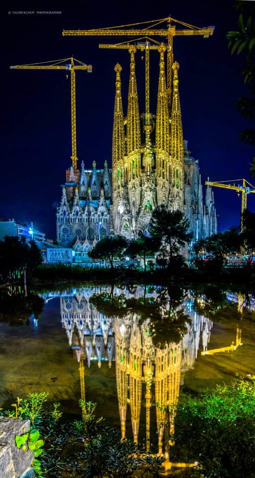 вино Барселона