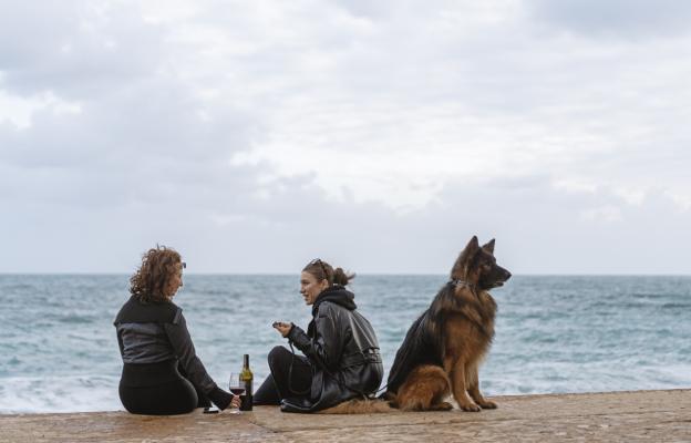 Немска овчарка