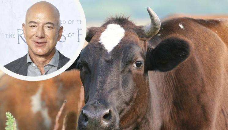джеф безос - Джеф Безос харчи милиони срещу кравешката пръдня!