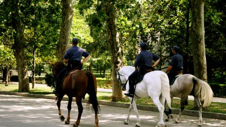 Конна полиция