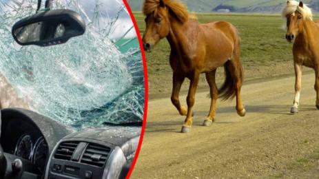 коне катастрофа