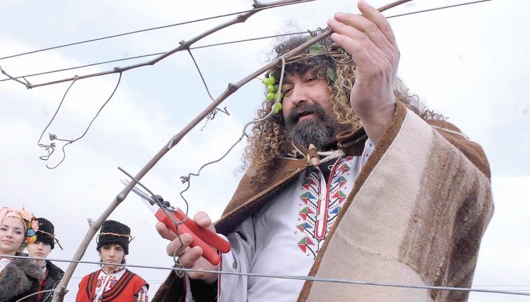 резитба - Агро Телеграф: Време за резитба на лозята