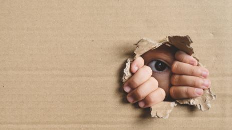 трафик на деца