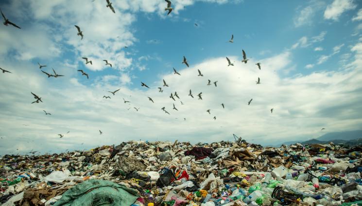 сметище - ОТЧАЯН ХОД: Мъж купува сметище, търси „съкровище“ за стотици милиони