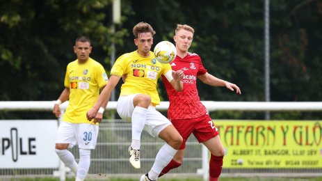 Гаспер Трдин