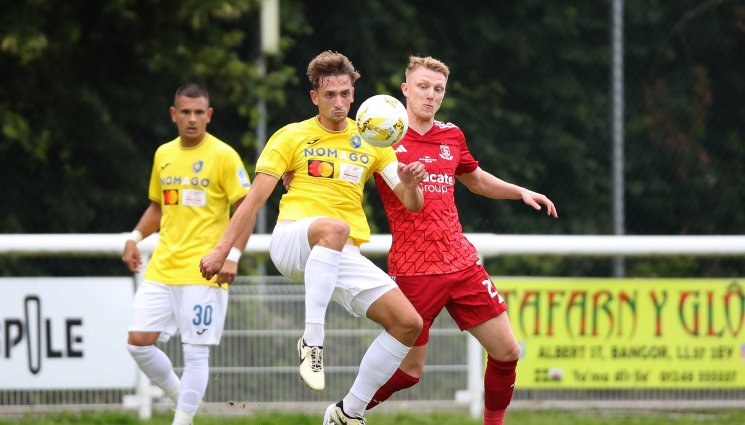 Гаспер Трдин - БРАВО, ЛЕВСКИ!