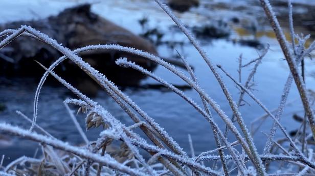 -17 градуса в Трън