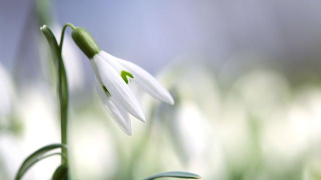 Януари 2026 г. е сред петте най-топли в историята