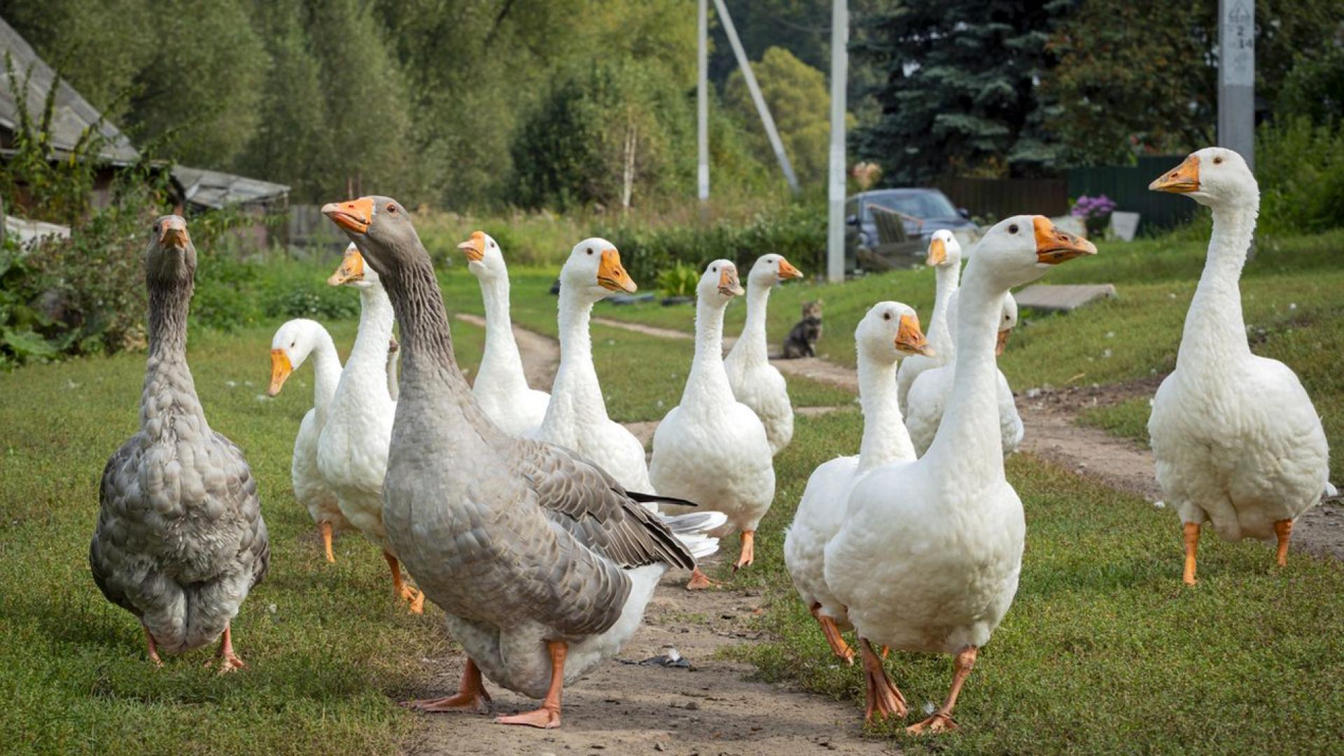 Седемчленно семейство наскоро пресрочва престоя си в луксозен бутиков хотел