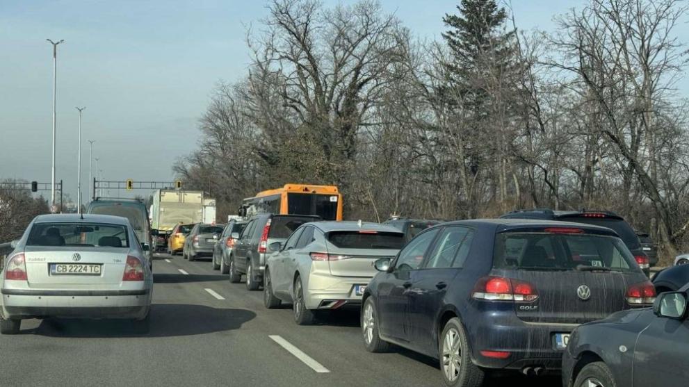 Дърво падна върху кола на Цариградско шосе в София в района