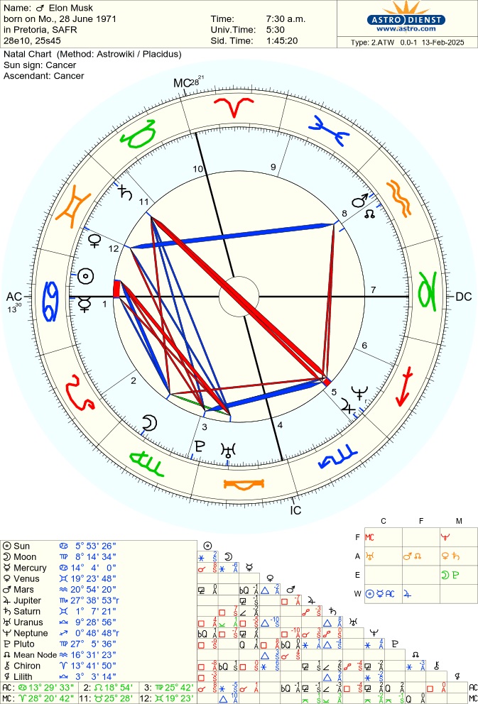 рождена карта илон мъск