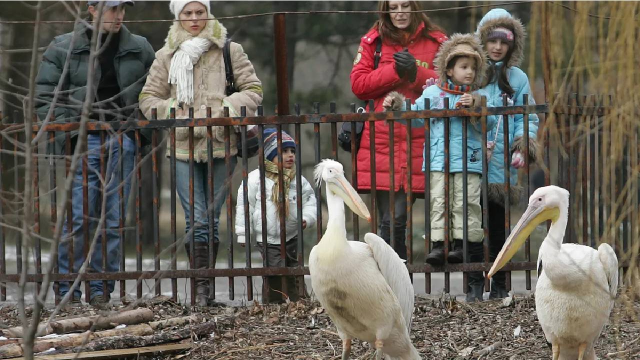 Зоопарк София