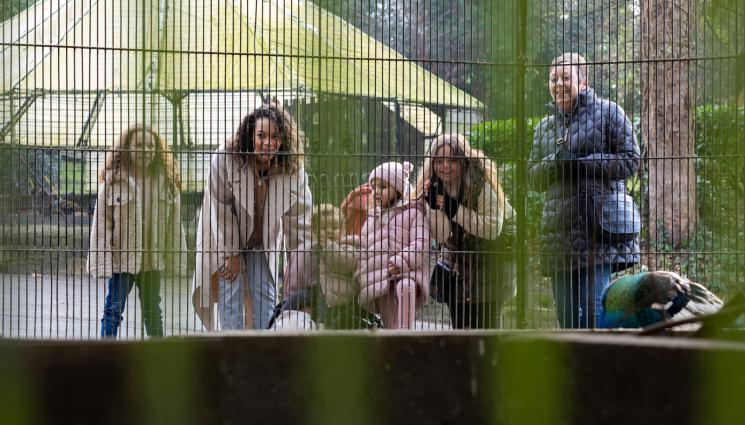 зоопарк - Бебе от критично застрашен вид се роди в зоопарк в Англия (СНИМКА)