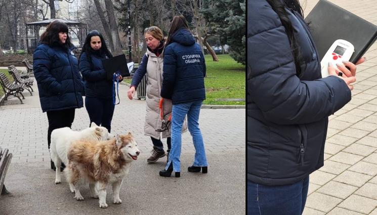 куче чип - 200 лева глоба за куче без чип!
