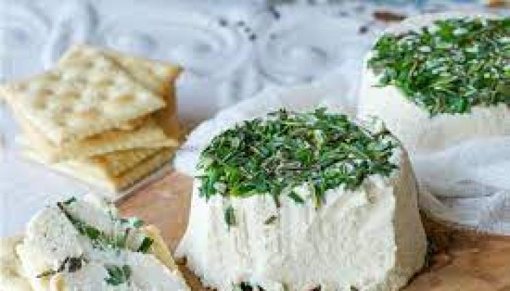 Веган сирената - Агро Телеграф: На пазара се появи и растителна „моцарела“