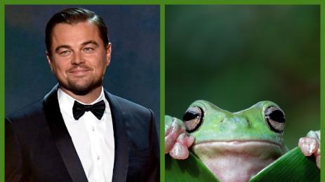 леонардо ди каприо