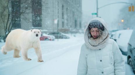 бели мечки студено време