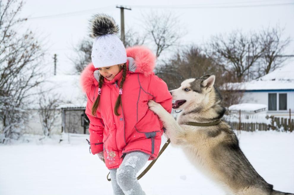 Зимата се завърна с пълна сила със сняг и ниски