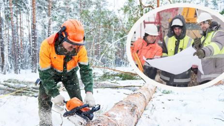 работа студ