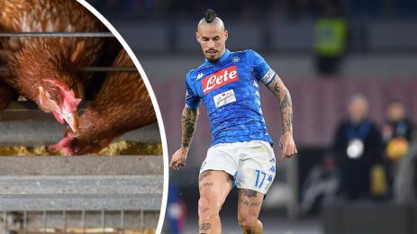 Марек Хамшик