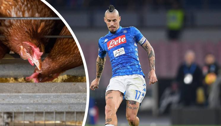 Марек Хамшик - Пресни яйца под ръка: Легенда на Наполи отглежда кокошки