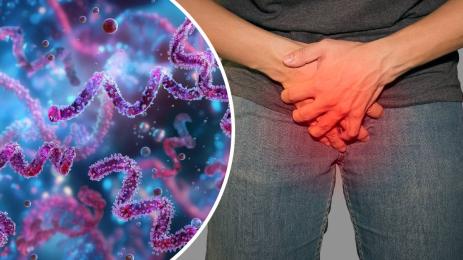 сифилис венерическа болест срамна болест