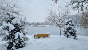 сняг лед зима Търговище