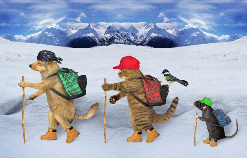 Най-ниски са температурите в петък сутрин в Елхово, Кнежа и