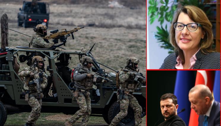 война - Зам.-директорът на Европейския съвет за външна политика Весела Чернева пред