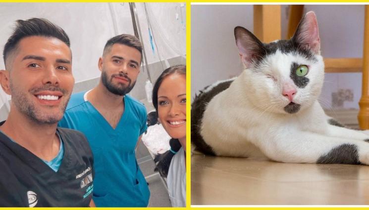 Евгени Евтимов - ЖИВОТ С ЕДНО ОКО: Адаптиране при кучетата и котките след загуба на зрителен орган!