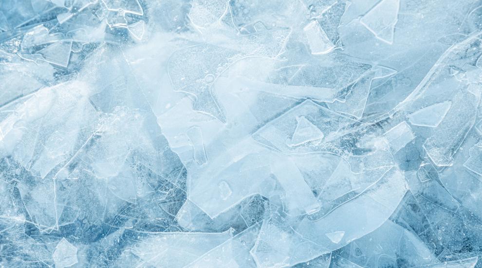 Скритият свят под леда: Полярни гмуркачи разкриват тайни за живота на планетата