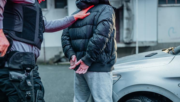 арест - ЛИЦЕ НАЗАЕМ: Заловиха известен гангстер миг преди пластична операция (ВИДЕО+СНИМКИ)