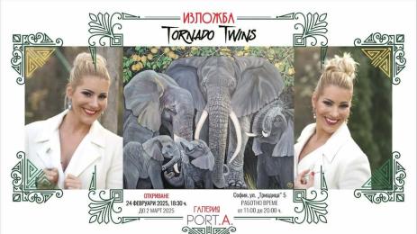 близначки игри на волята