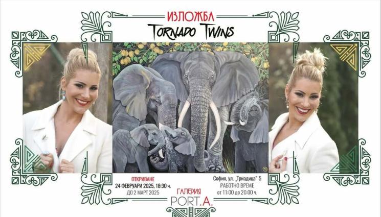 близначки игри на волята - Близначките от „Игри на волята“: В работата ни цари подреден хаос