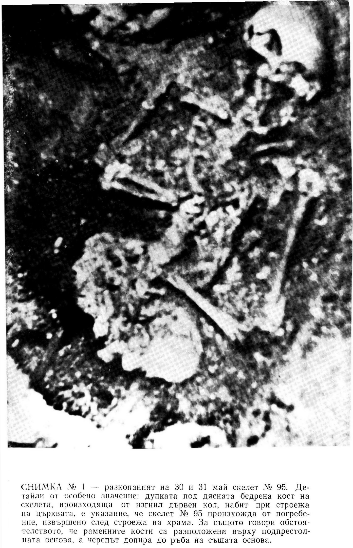 скелет Васил Левски