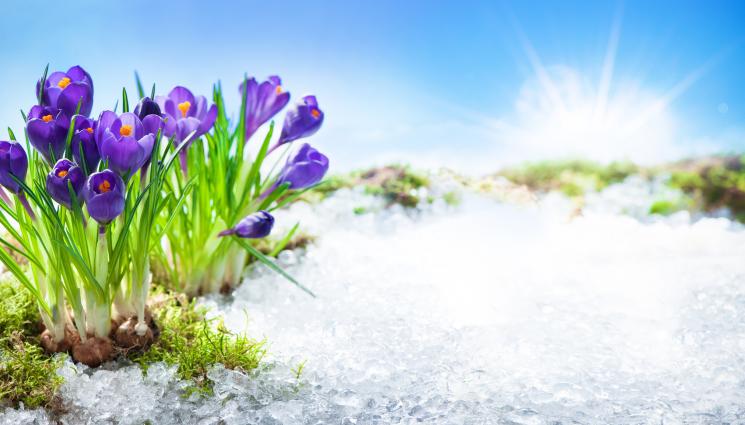 d - ВРЕМЕТО ПРЕЗ МАРТ: Малко студ и скок на температурата до 27 градуса!