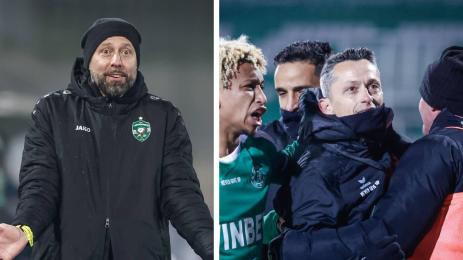 Йовичевич Янев