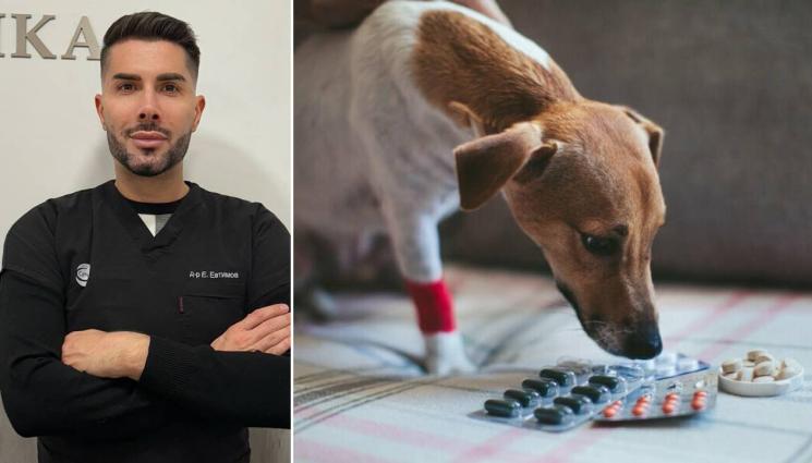 dd - ОТРОВА ВМЕСТО ЛЕЧЕНИЕ: Кога човешките лекарства стават смъртоносни за животните...