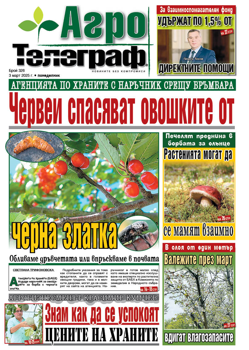 Агро Телеграф