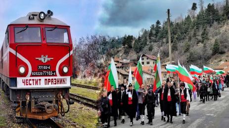 теснолинейка