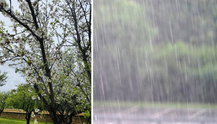 агро - Агро Телеграф: Валежите през март вдигат влагозапасите