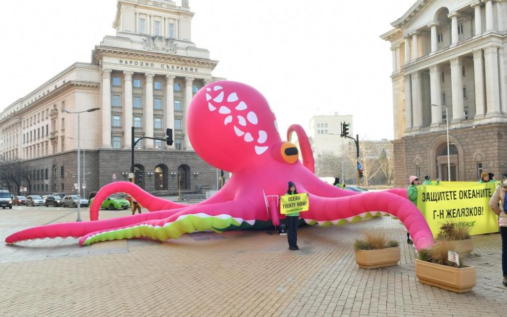  розов октопод 