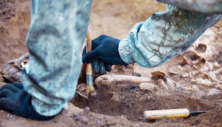 археолог - Археолози откриха 1500-годишен гроб със скелет, завързан с вериги (СНИМКА)