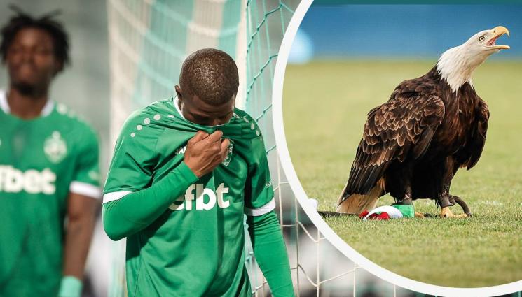 Лудогорец - Повлия ли съдийството на резултатите на Лудогорец?