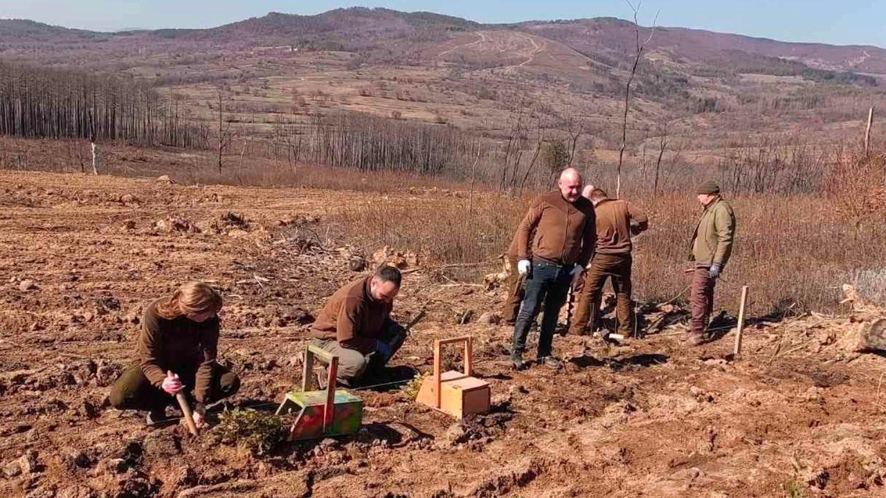 Мащабно залесяване по повод Седмицата на гората